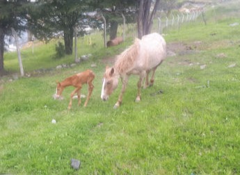 Gaspar y Madre